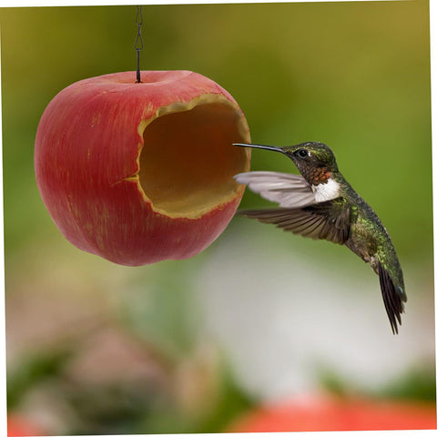 Apple Hanging Bird Feeders for Outdoors