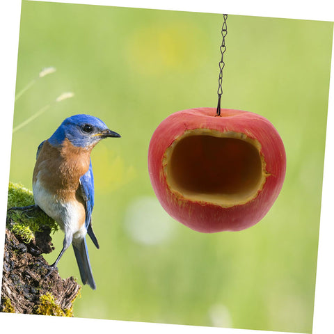 Apple Hanging Bird Feeders for Outdoors